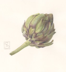 artichoke